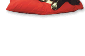 kennel mate dog beds