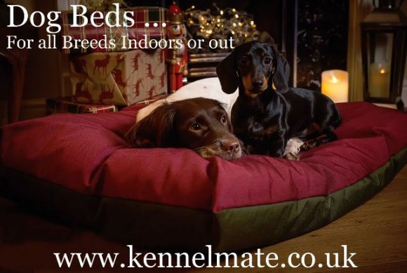 beds for dogs that like to nest