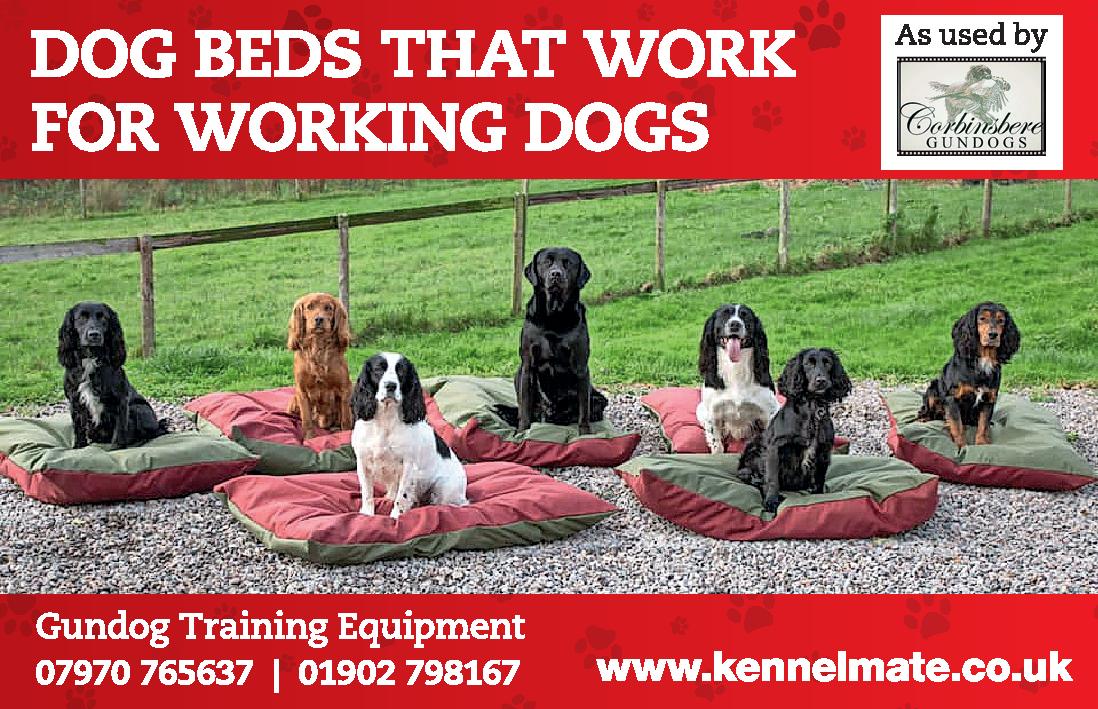 Kennel beds 2024